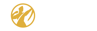 Apollo Sports Business Group